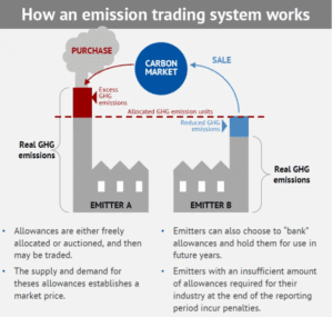 Read more about the article The Ultimate Guide to Understanding Carbon Credits