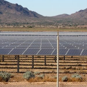 Read more about the article Solar Energy in Agriculture: Powering the Future of Sustainable Farming in India